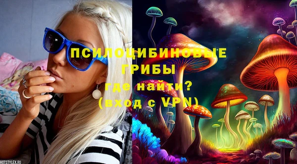 гидропоника Абаза