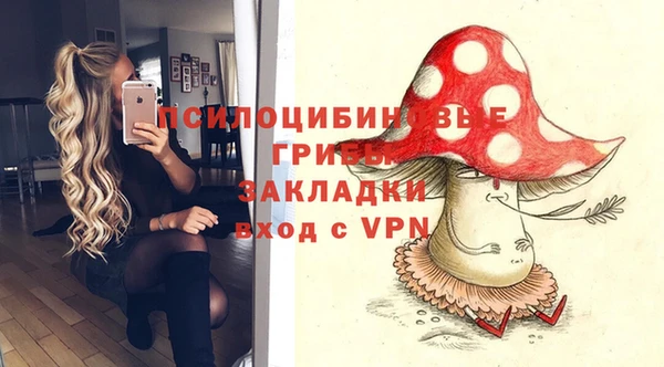 гидропоника Абаза