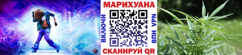 Каннабис OG Kush  Устюжна 